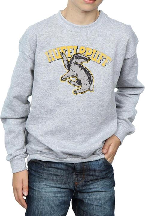 Immagine prodotto Hufflepuff Sport Emblem Felpa Ragazzi (152, 158)
