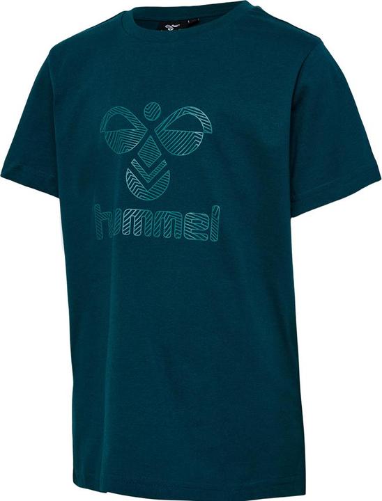 Deepteal