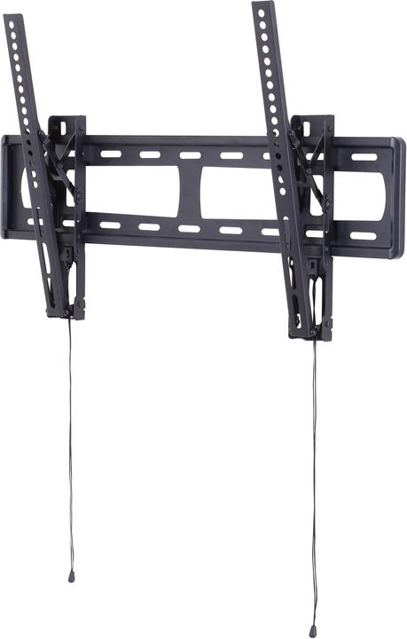 Prokord DUS6MT2 (Wand, 75", 40 kg)