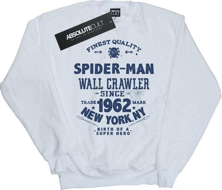 Actual product image Womens/Ladies Spider-Man Finest Quality Sweatshirt (XL)