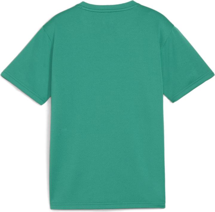 Image du produit Puma teamGOAL Jersey Jr (116)