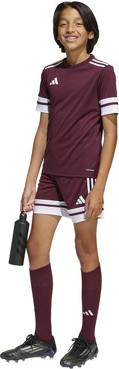 Actual product image adidas Squadra 25 Short Kids (140)