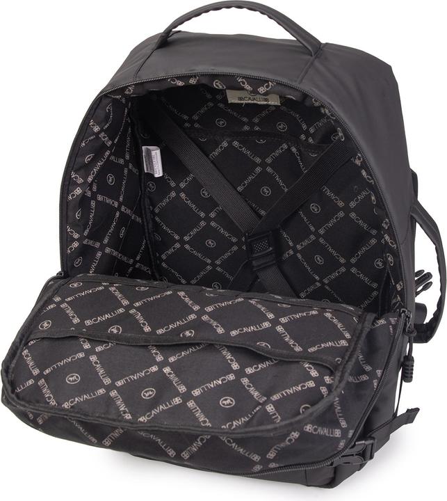 Image du produit B.Cavalli Bc1393 (4.16 l)
