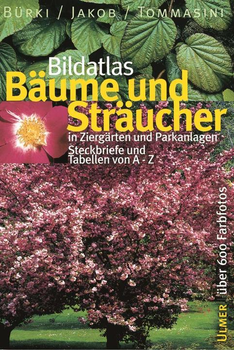 Produktbild Bildatlas Bäume und Sträucher in Ziergärten und Parkanlagen (Deutsch, Moritz Bürki, Fritz Jakob, Domenico Tommasini, 2002)