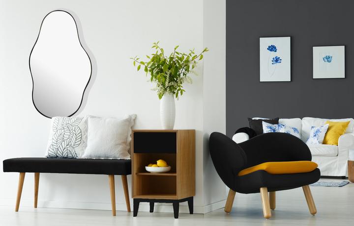 Produktbild FineBuy Flurspiegel (40 x 80 cm)