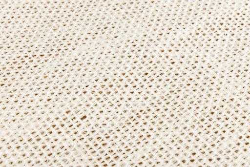 Image du produit Beeztees Coin d'Esta (1 cm, Beige)