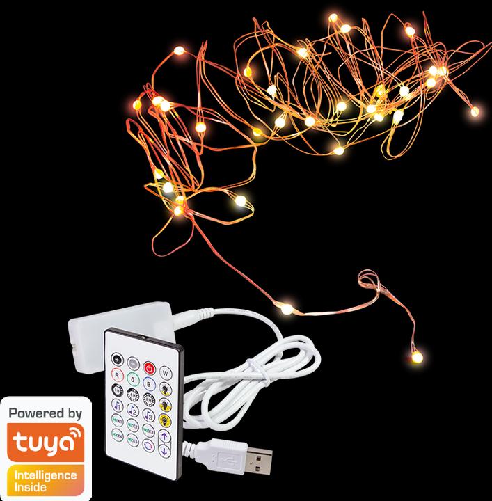 Image du produit LogiLink Guirlande lumineuse RGB Wi-Fi Smart avec télécommande, compatible Tuya, 5 m (5 m)