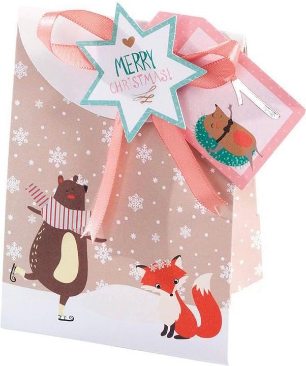 Produktbild Folia Geschenktaschen