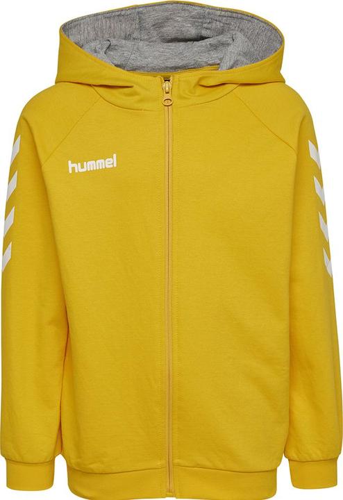 Actual product image hummel Go Kids Cotton Zip Hoodie (164)
