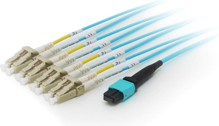 Actual product image equip MTP/LC Trunk Fiber Patch Cord OM4 M/M (CAT8.1, 7 m)