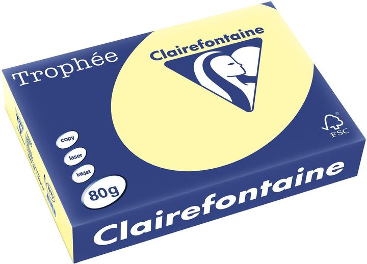 Actual product image Clairefontaine Universal paper, coloured (80 g/m², 500 x, A4)