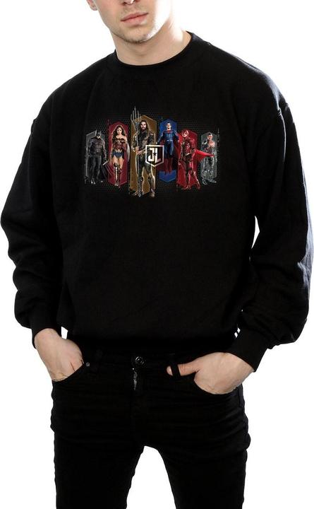 Produktbild Justice League Movie Team Hexagons Sweatshirt (S)