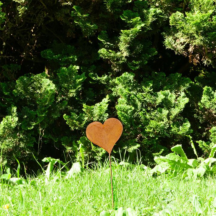 Immagine prodotto Natura Punto Cuore di spina da giardino