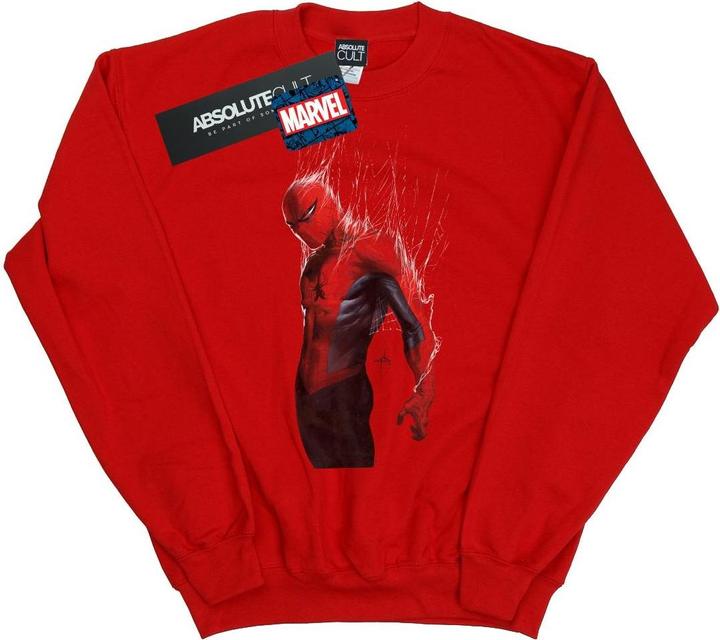 SpiderMan Web Wrap Sweatshirt Jungen