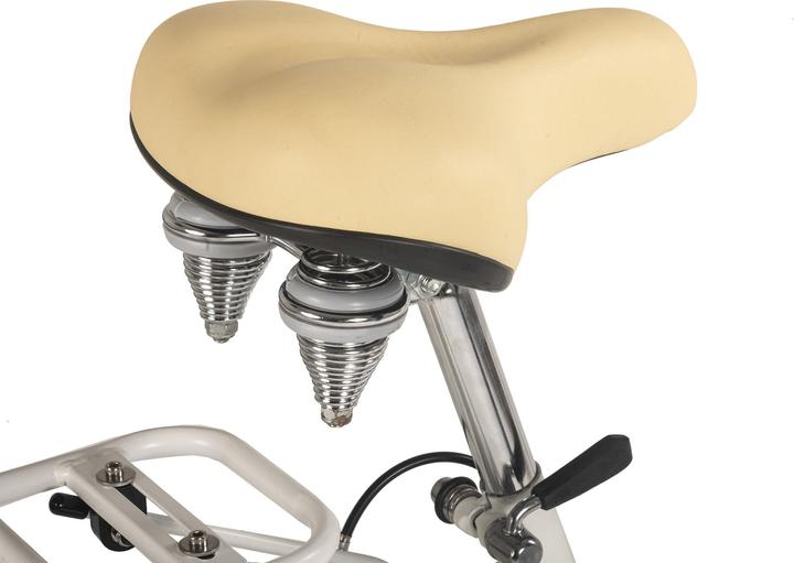 Actual product image Damenrad 28" Balloon 6 Gänge 48 cm (48 cm)