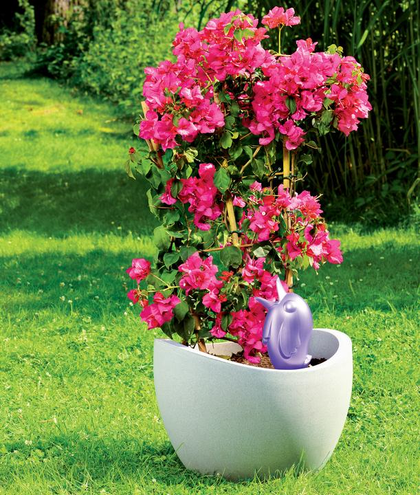 Image du produit Scheurich Bördy XL (Cône d'argile)
