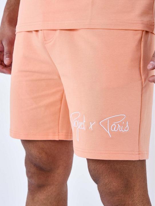 Actual product image Project X Paris basic shorts with embroidered logo (XL)