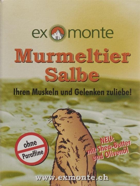 Produktbild Exmonte Murmeltier Salbe, 100 ml (1 x, 100 ml, 262 g)