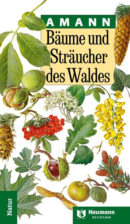 Produktbild Bume und Strucher des Waldes (Deutsch, Claudia, Amann, Gottfried(Prof.Dr.)/Summerer, 2024)