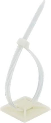 Actual product image Delock Cable tie holder (40 mm, 10 pcs.)