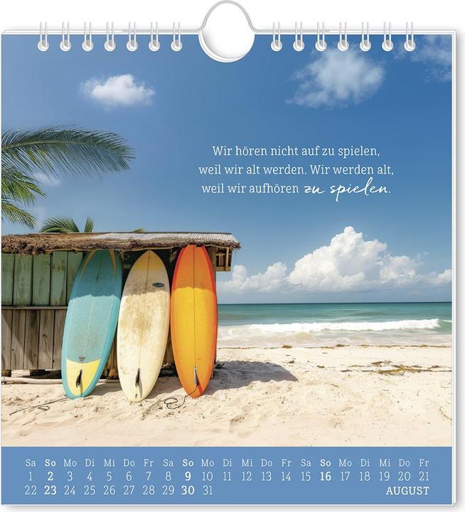 Produktbild Postkartenkalender 2026 Strandgut (16 x 17 cm, Deutsch)