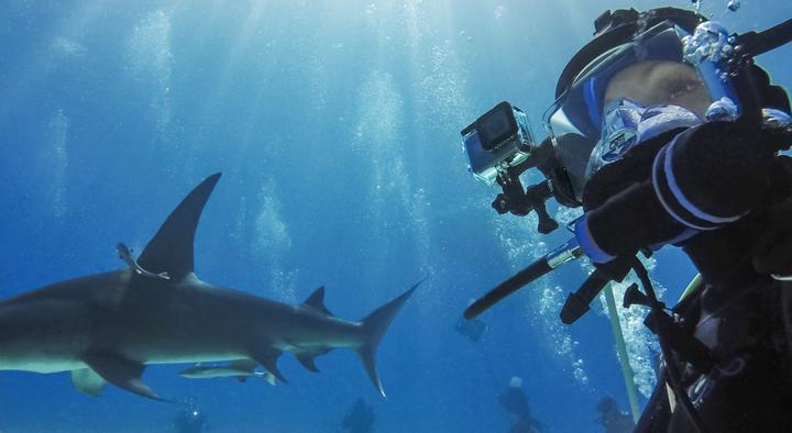 Image du produit GoPro Super Suit (Héros 8)