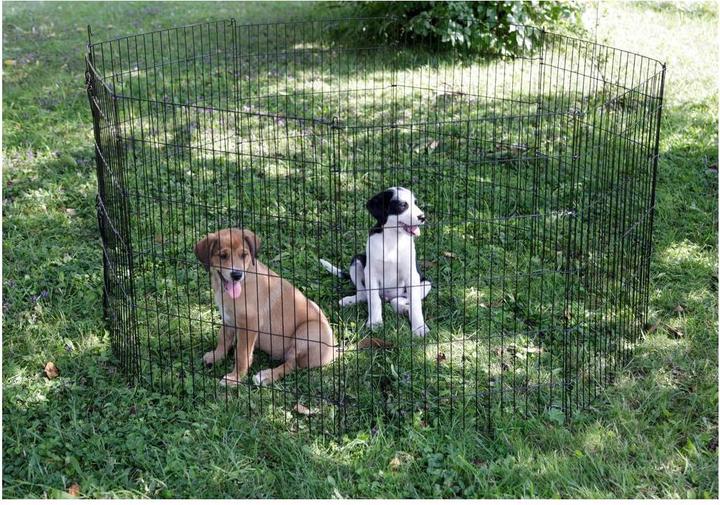 Image du produit Kerbl Enclos pour chiots et petits animaux