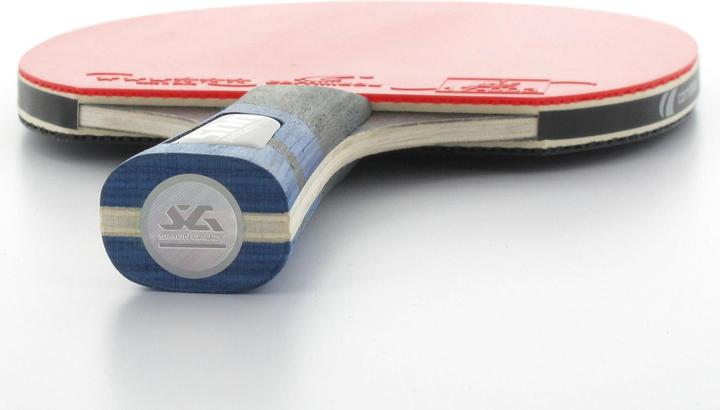 Image du produit Cornilleau Perform 500