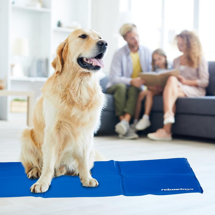 Immagine prodotto Relaxdays Tappeto di raffreddamento (Cane)