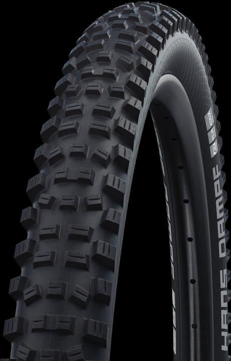 Schwalbe Hans Dampf