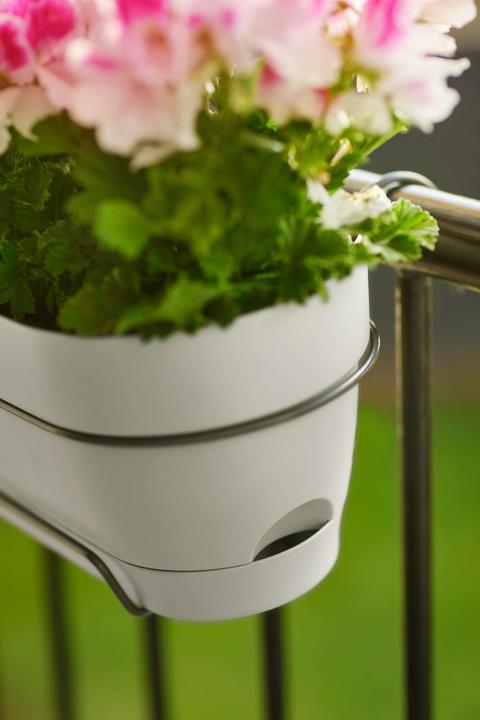 Produktbild Elho Vibia Campana Balkonkasten Allin1 (26 cm)