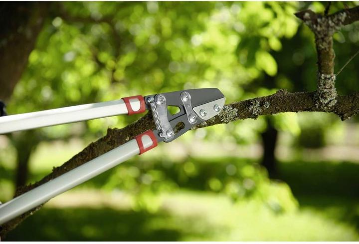 Actual product image Wolf-Garten Branch shears