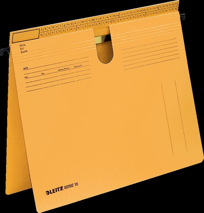 Immagine prodotto Leitz Fascicolo appeso serie 18 (A4, 1 x)