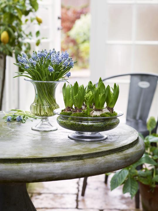 Produktbild Holmegaard Old English Blumenschale (Ø 25 cm)