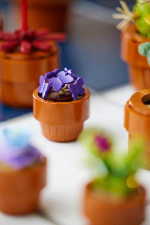 Actual product image LEGO Mini plants (10329, LEGO Icons, LEGO Botanical)