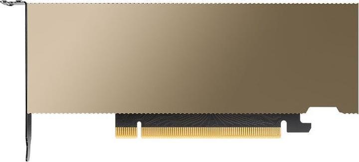 Immagine prodotto PNY Modulo Nvidia L4 24GB 1X LP (24 GB)