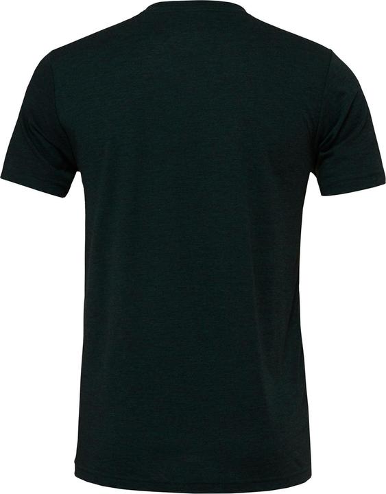 Actual product image Bella Canvas Canvas triblend short sleeve TShirt (XS)