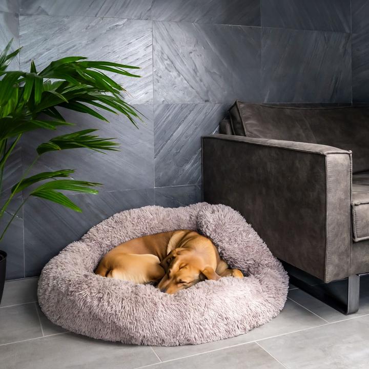 Immagine prodotto Intirilife Letto per animali domestici Beige Diametro 100 cm (Cane, Gatto)