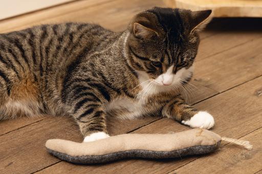 Actual product image Beeztees Minus One cat toy snake (Catmint toy)