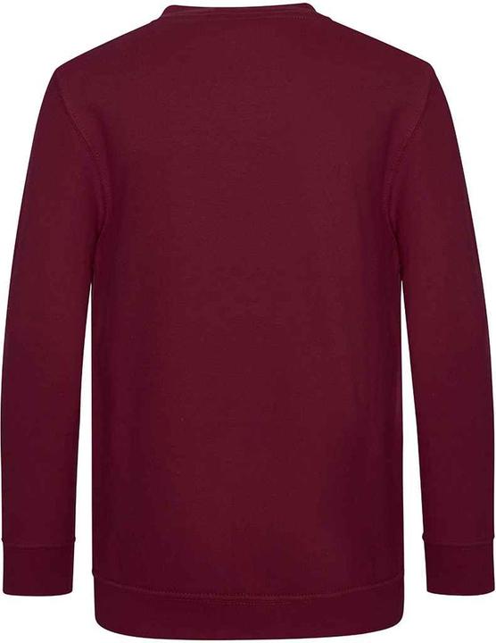 Image du produit Awdis - Sweat ACADEMY - Enfant (104)