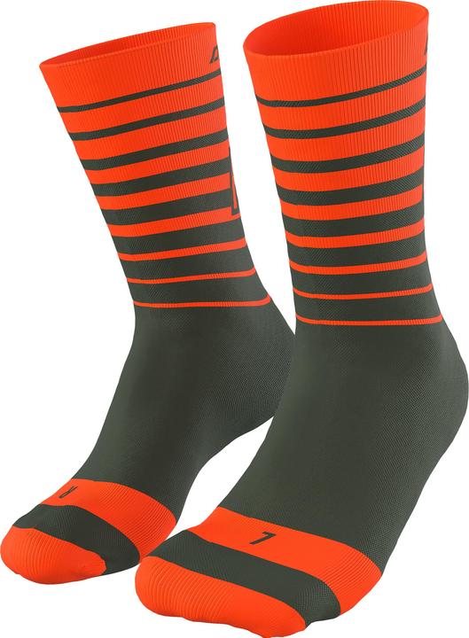Dynafit Live To Ride Socks