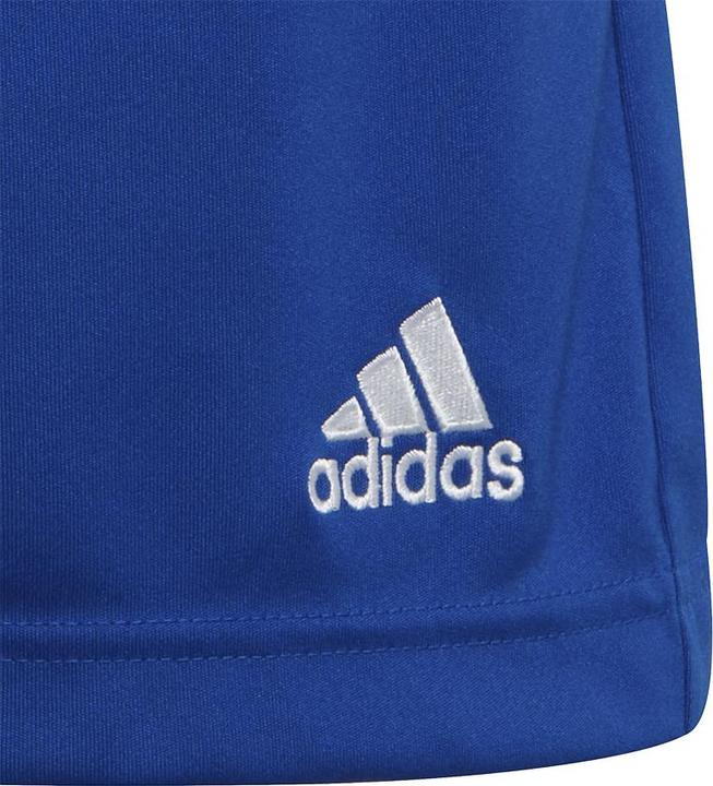 Actual product image adidas Entrada 22 Shorts (164)