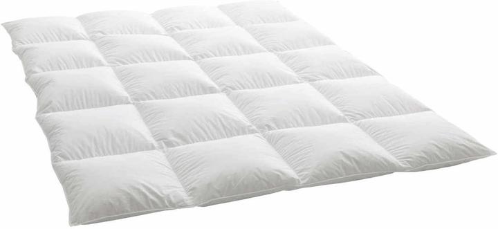 Actual product image Dauny Media Plus down comforter (200 x 210 cm)