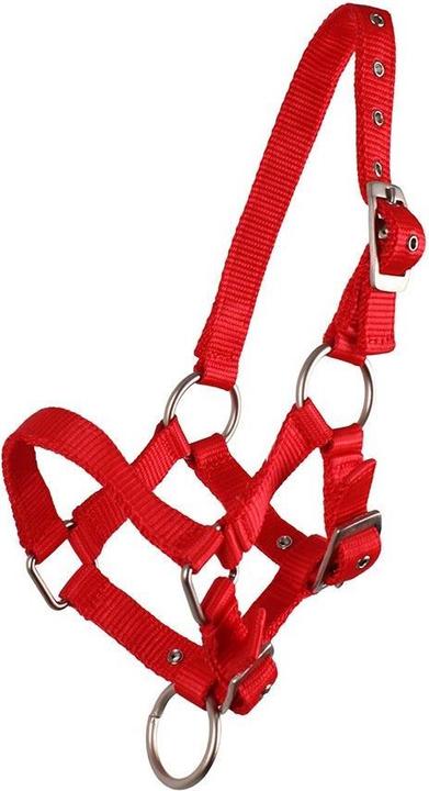 Actual product image Qhp Foal halter