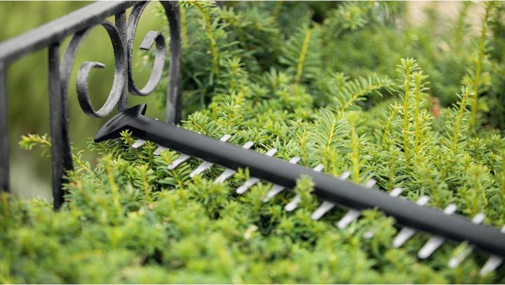 Produktbild Bosch Home & Garden UniversalHedgeCut 18V-50 (Akkuheckenschere)