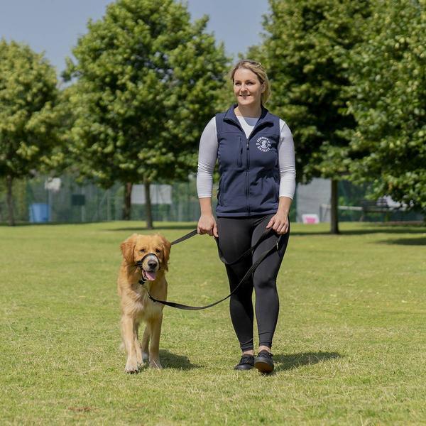 Actual product image Company of Animals Halti Black Kopfgeschirr 4 (Dog, Dog sport)