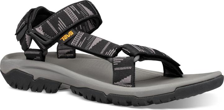 Chara black-grey