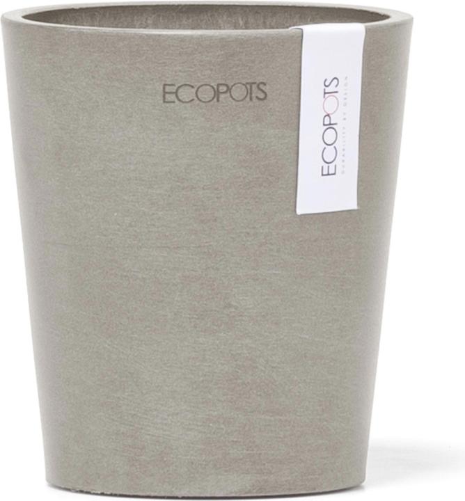 Actual product image Ecopots Morinda (11 cm)