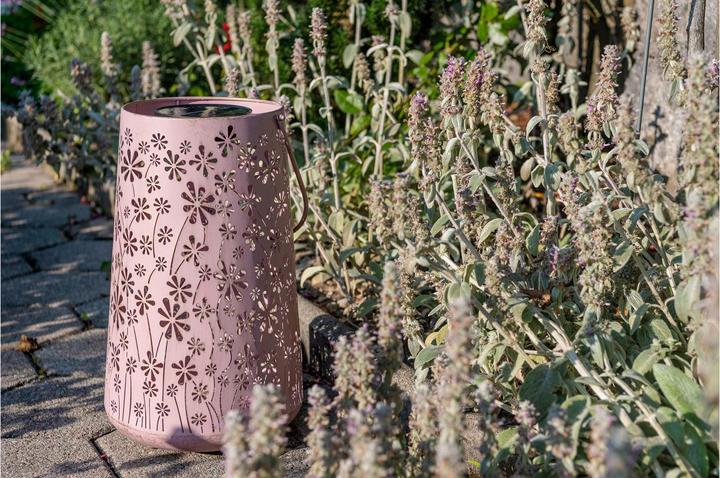 Image du produit STT Antic Daisy