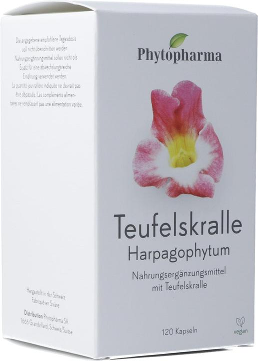 Actual product image Phytopharma Devil's claw Harpagophytum Caps (120 Piece, Capsules, 104 g)